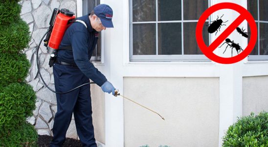 Sivaslı Böcek ve Haşere İlaçlama böcek ilaçlama ve haşere kontrolü — ilaclama-tr.com